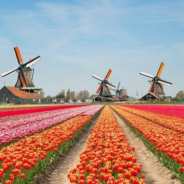 The Netherlands